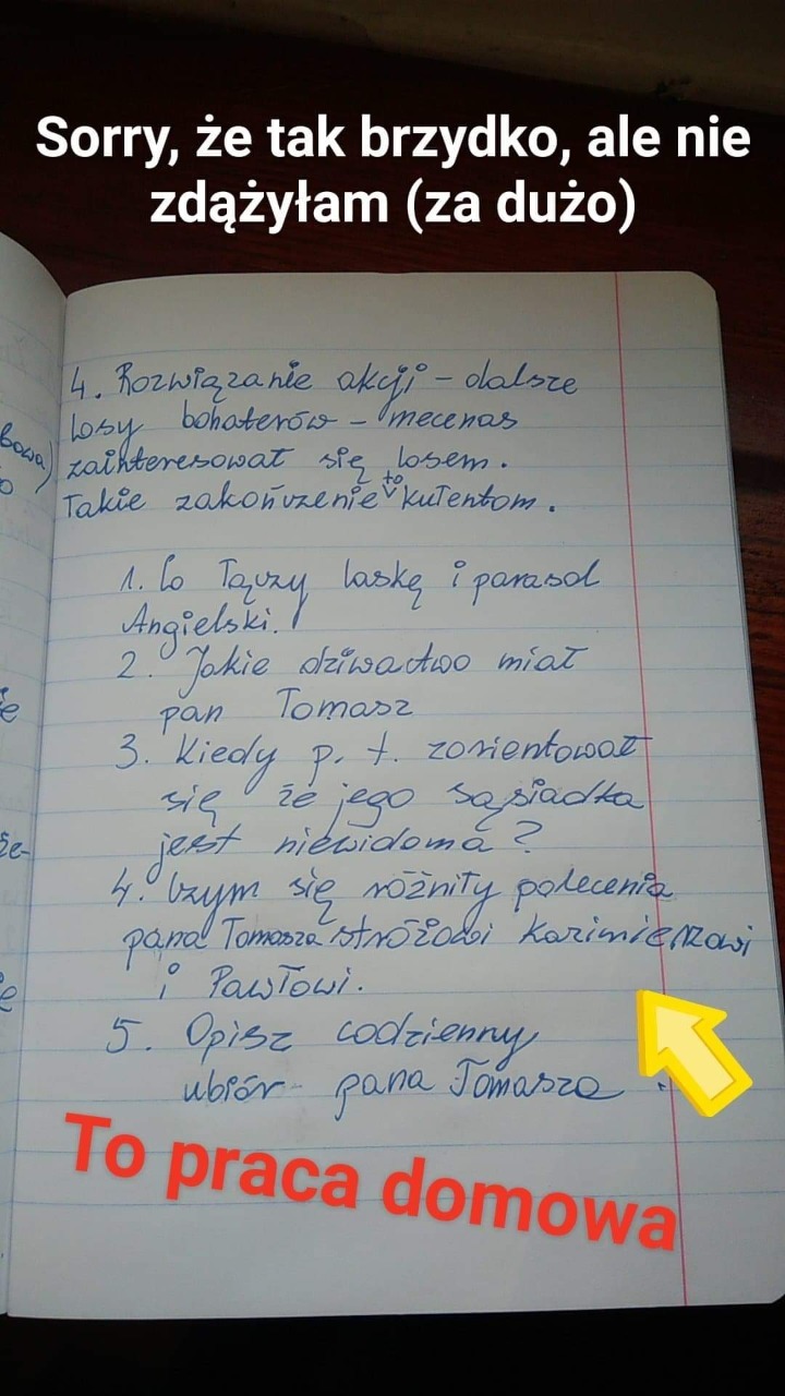 Pytania Testowe Do Lektury Katarynka Matematyki Klasa
