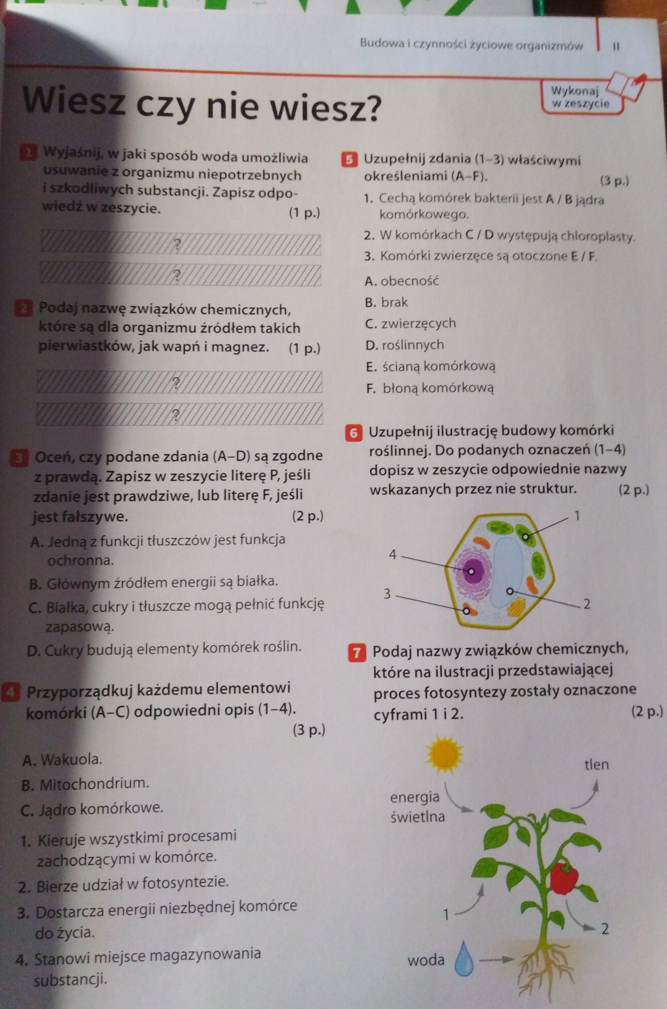 Wiesz czy nie wiesz? Biologia klasa 5 dział 2 podręcznik strona 57