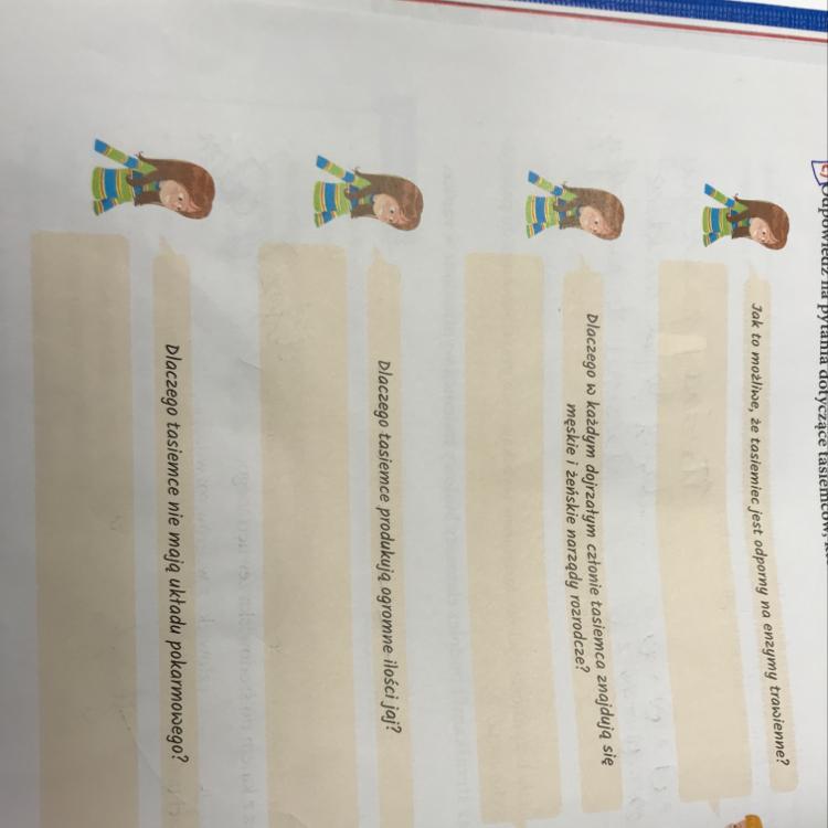 Budowa ciała i czynności życiowe tasiemców wynikają z ich
