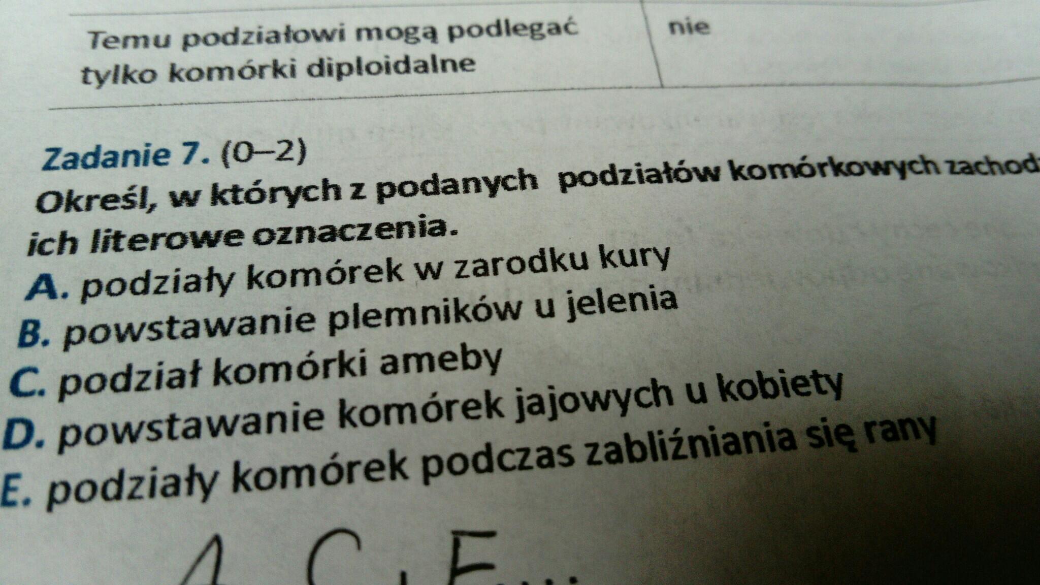 W, których z podanych podziałów komórkowych zachodzi mitoza, a w