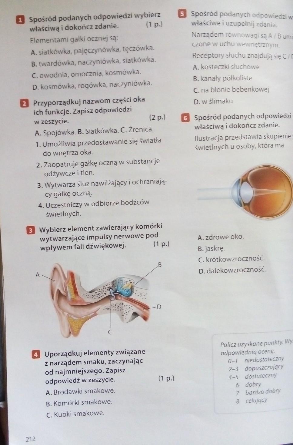 biologia szyybkooooo Brainly.pl
