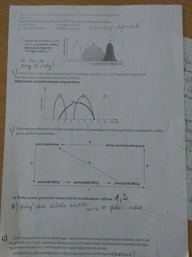 Prosze o pomoc z rozwiązaniem testu. daje 29 pkt za najlepsze