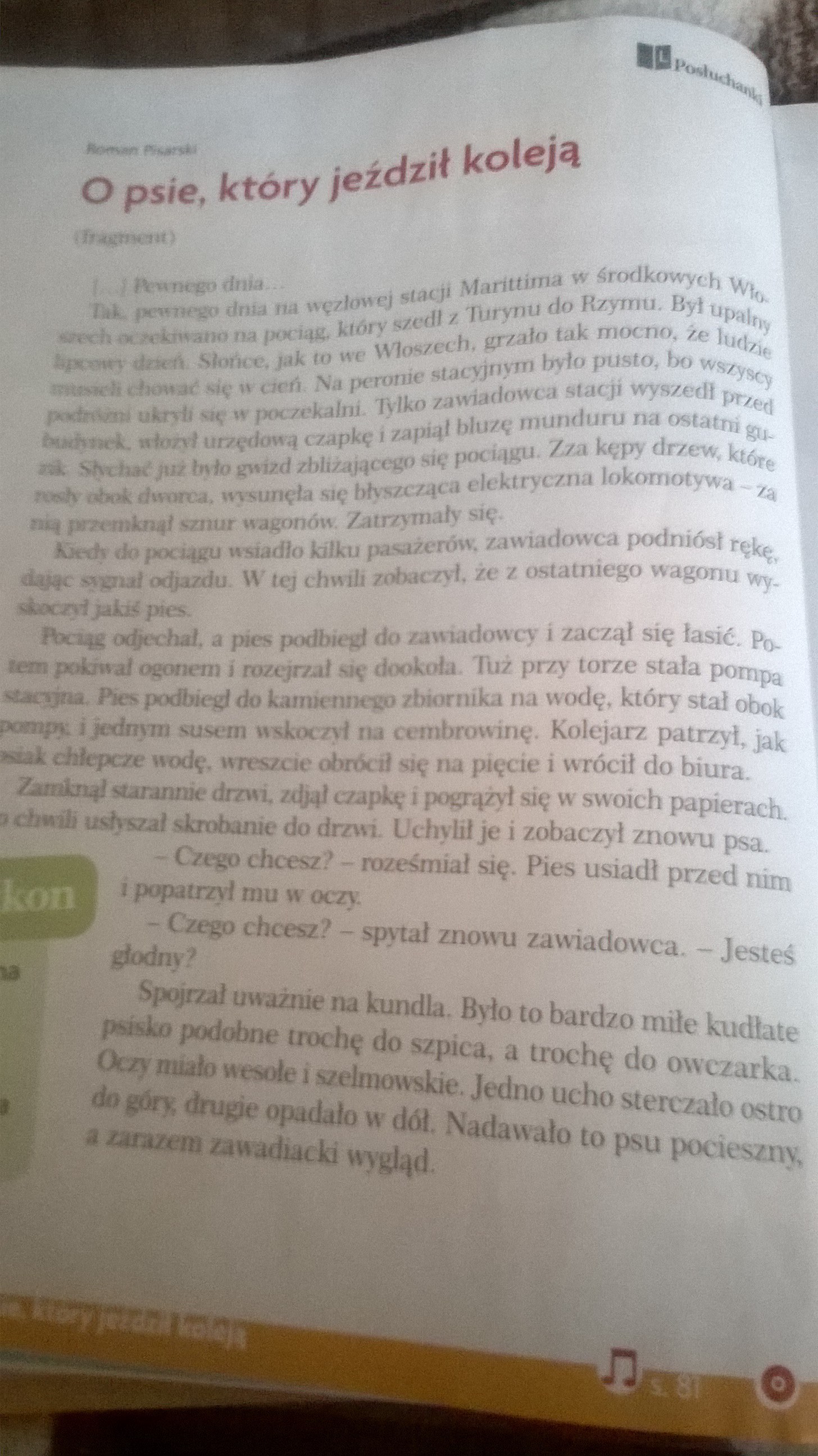 Napisz plan wydarzeń z przedstawionego fragmentu lektury O psie który