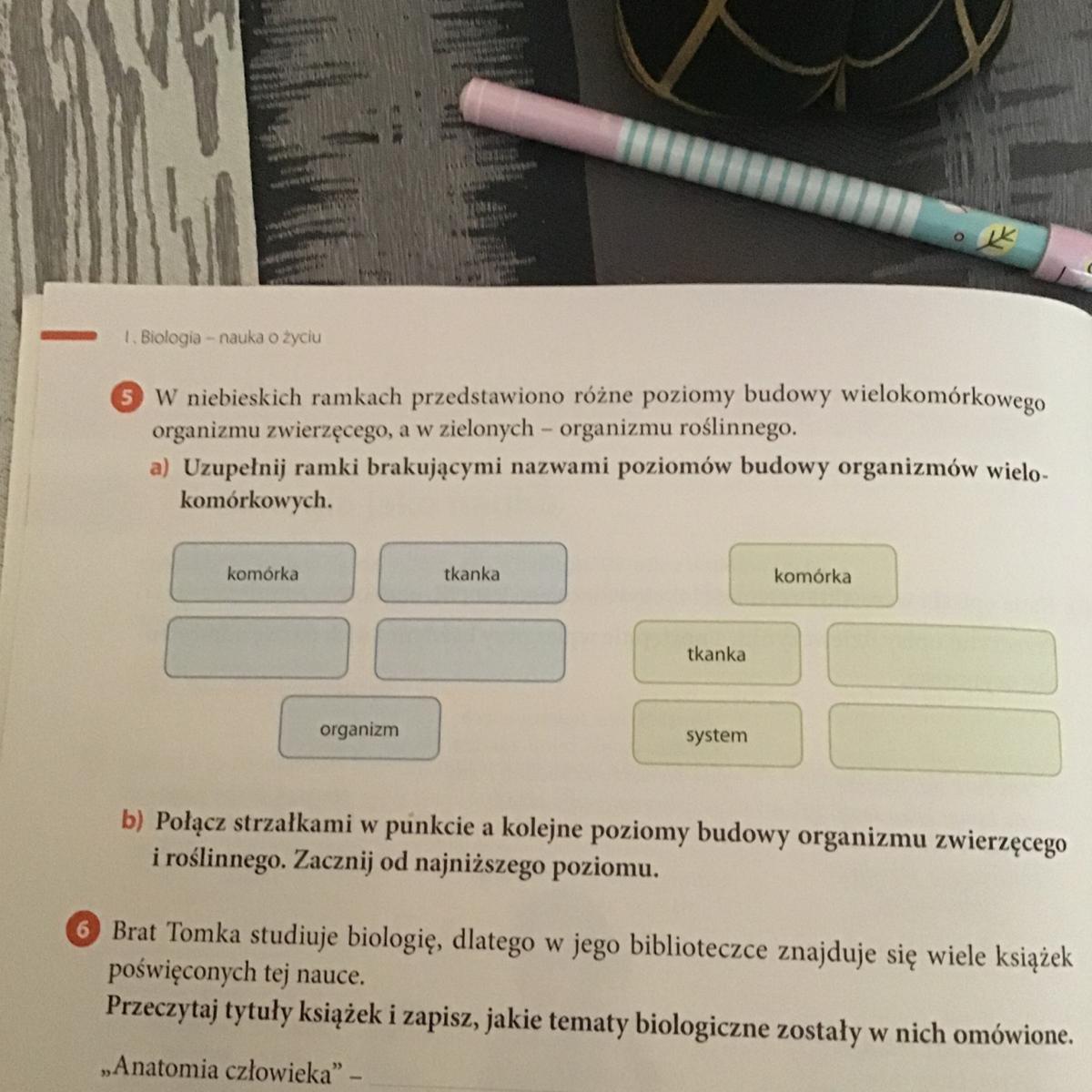 Niebieskich ramkach przedstawiono różne poziomy budowy wielokomórkowego