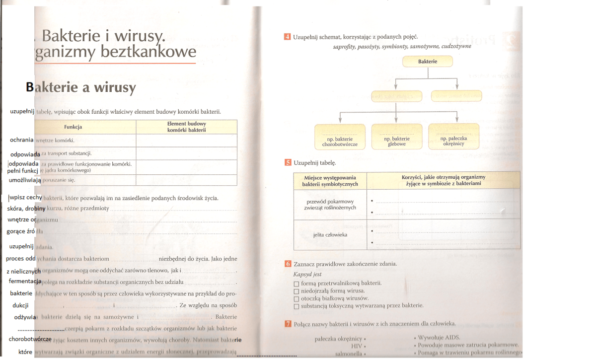 Biologia Puls Życia. III. Bakterie i wirusy. 1. Bakterie a wirusy
