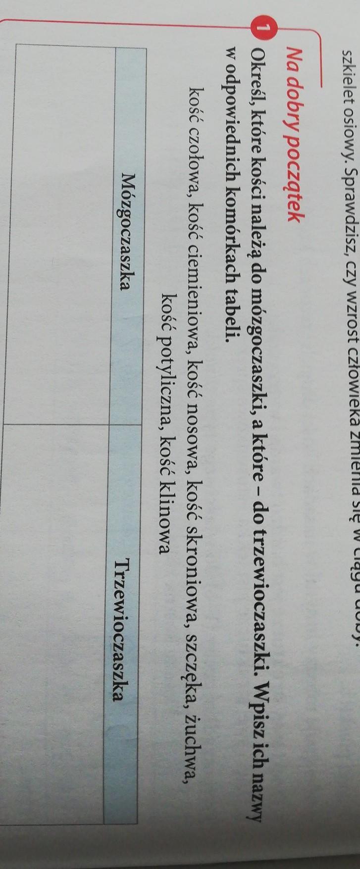szkielet osiowy. Sprawdzisz, czy wzrost człowieka zmienia się w ciągu
