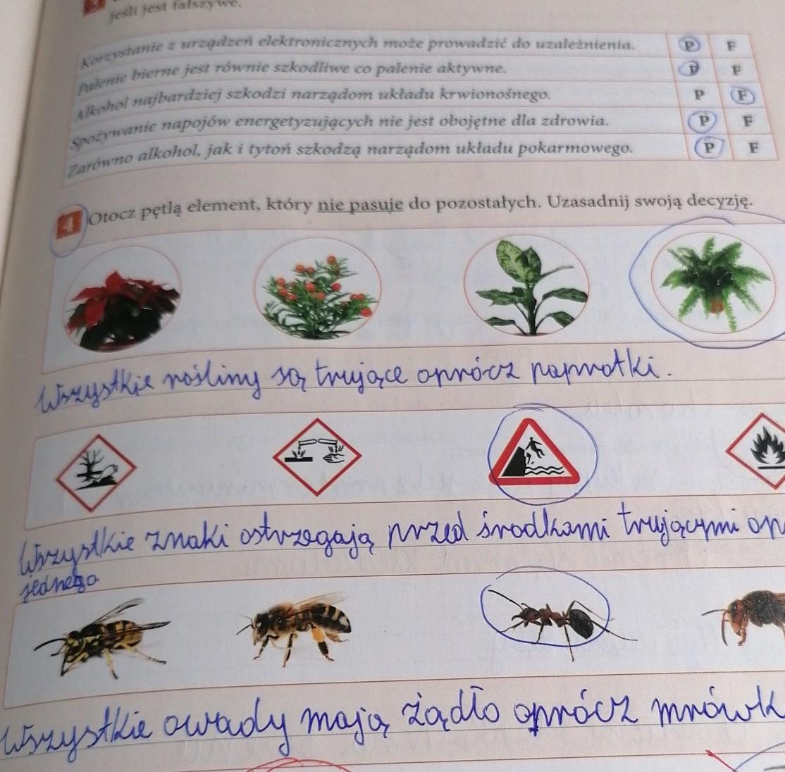 4. Otocz pętlą element, który nie pasuje do pozostałych. Uzasadnij