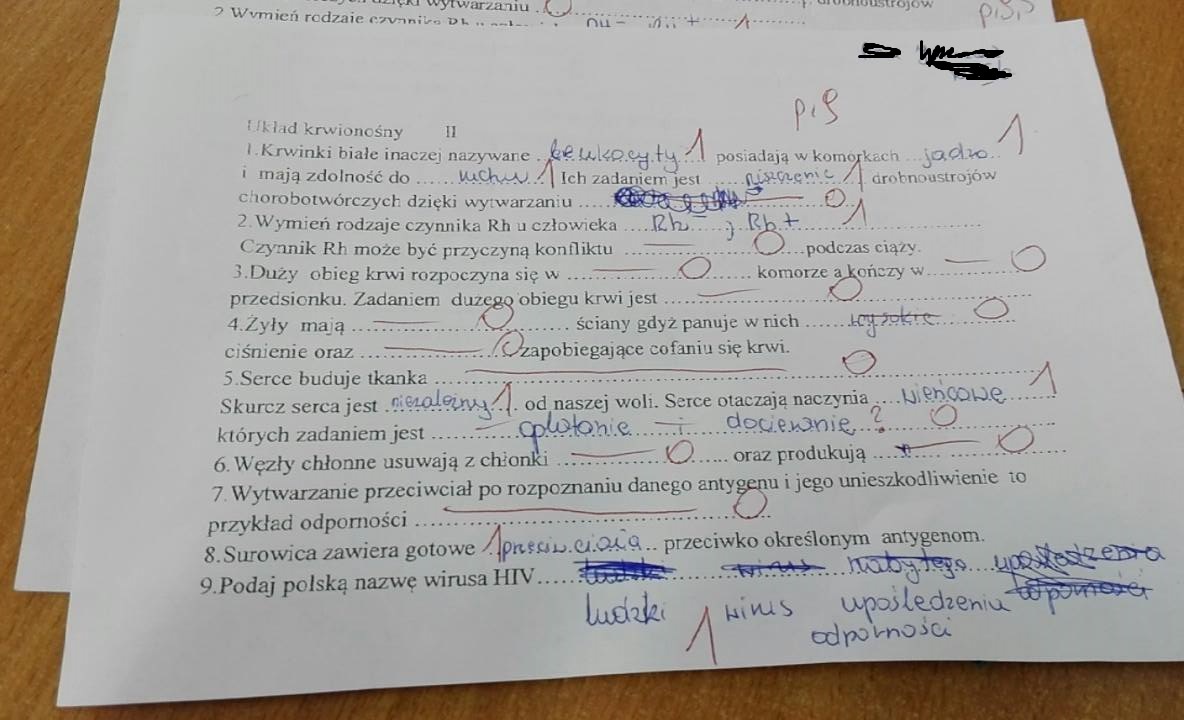Uzupełnij poprawnie zdania wpisując odpowiednie wyrazy. Zdania w