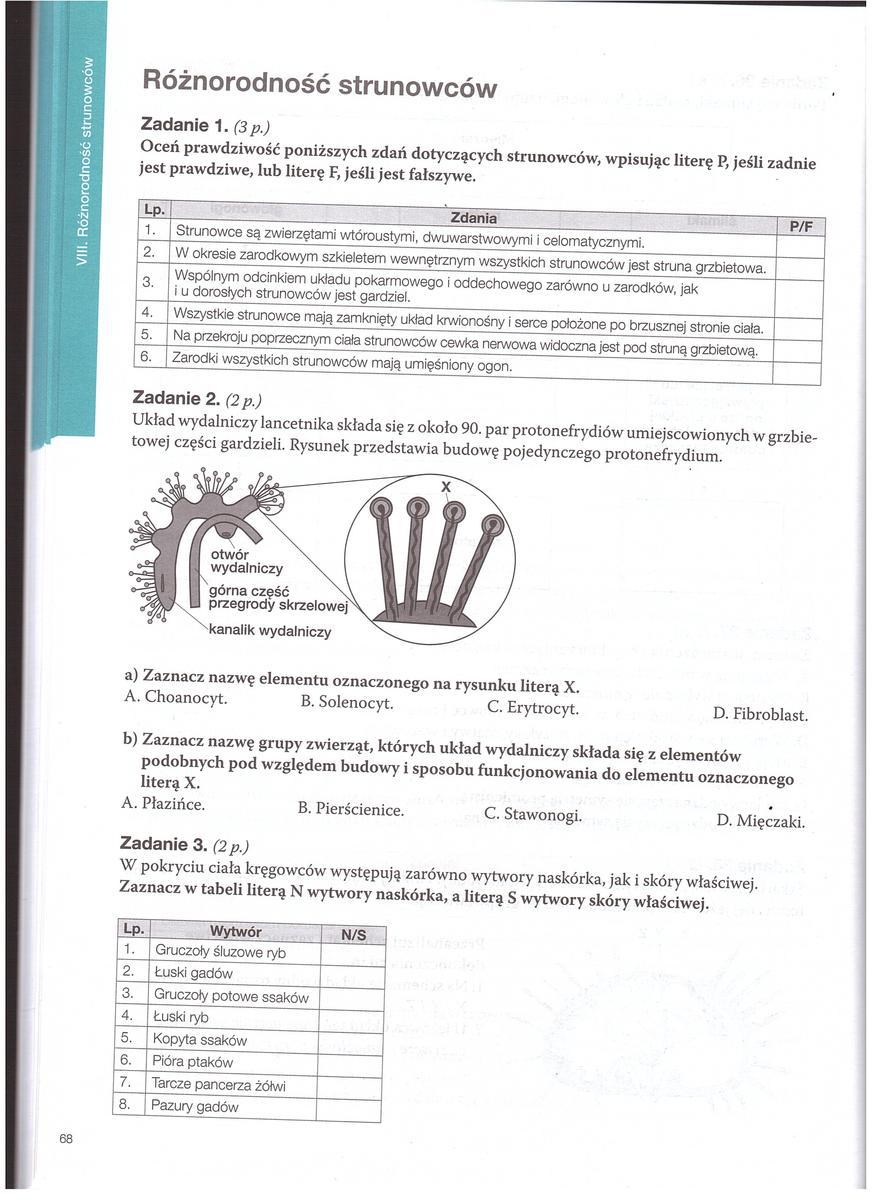biologia zadanie w zalaczniku tylko 2 zadanie Brainly.pl