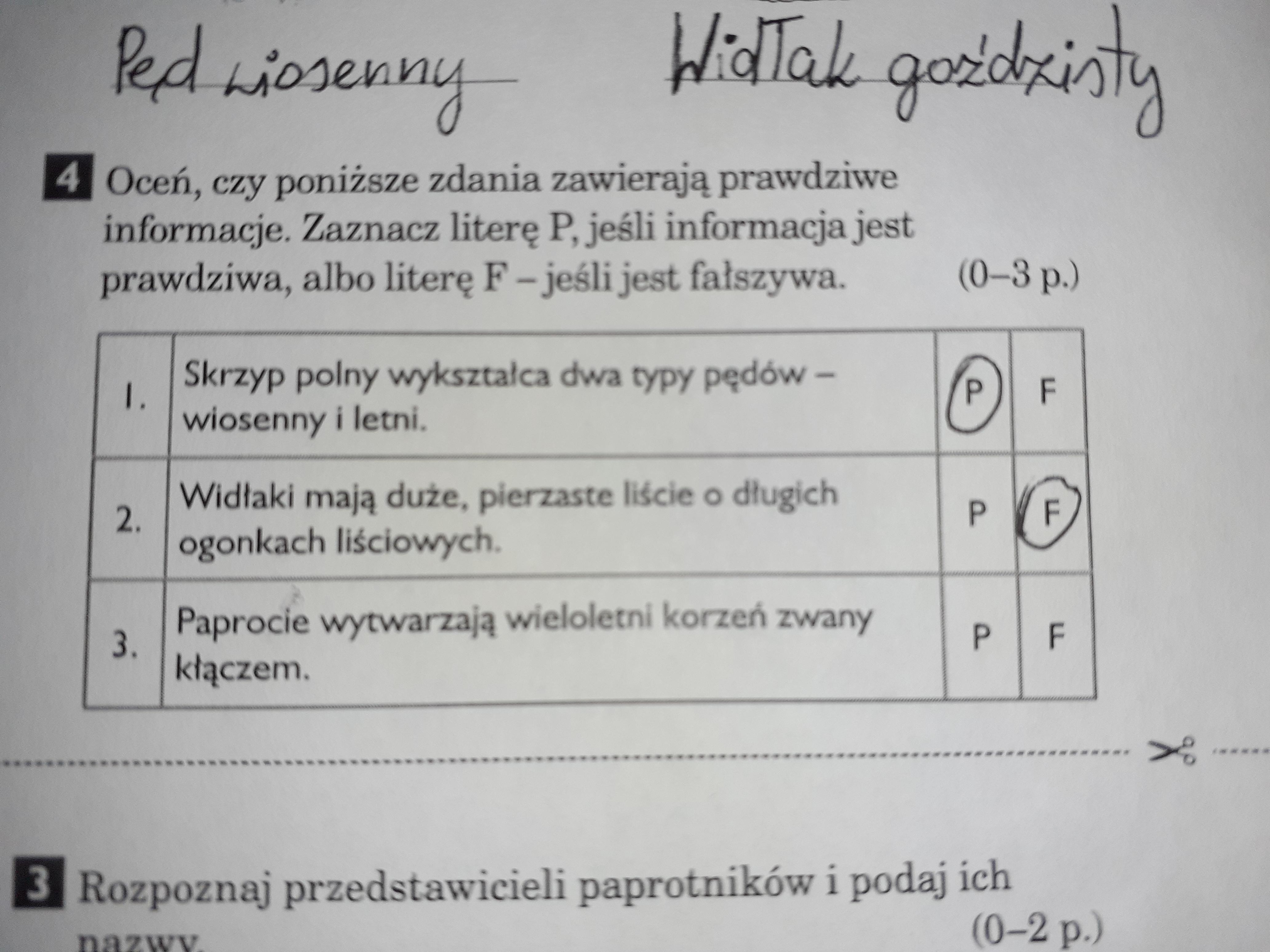Ostanie pytanie z zadania 4 prawdziwe czy fałszywe Daje naj!!! Brainly.pl