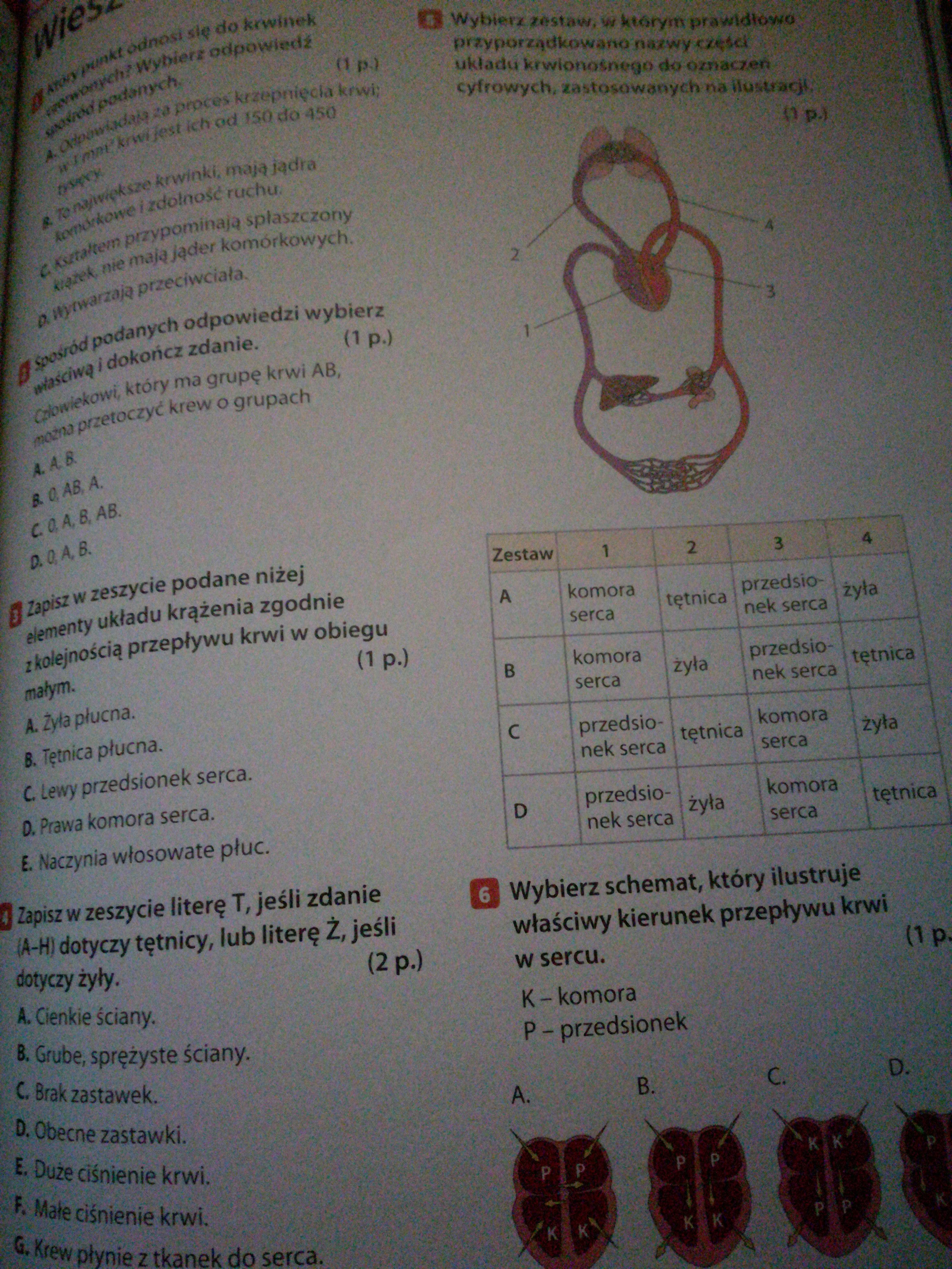 Ktos moze ma sprawdzian z biologii puls zycia klasa 7 uklad krazenia