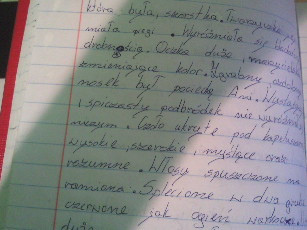 potrzebuje streszczenie 2 rozdziałów z książki "Ania z Zielonego