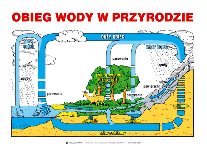 potrzebne na przyrode Wyjaśnij w jaki sposób woda krąży w przyrodzie