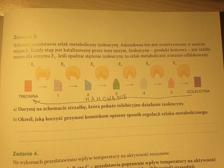 zad.3 b) Schemat przedstawia szlak metaboliczny izoleucyna. Aminokwas