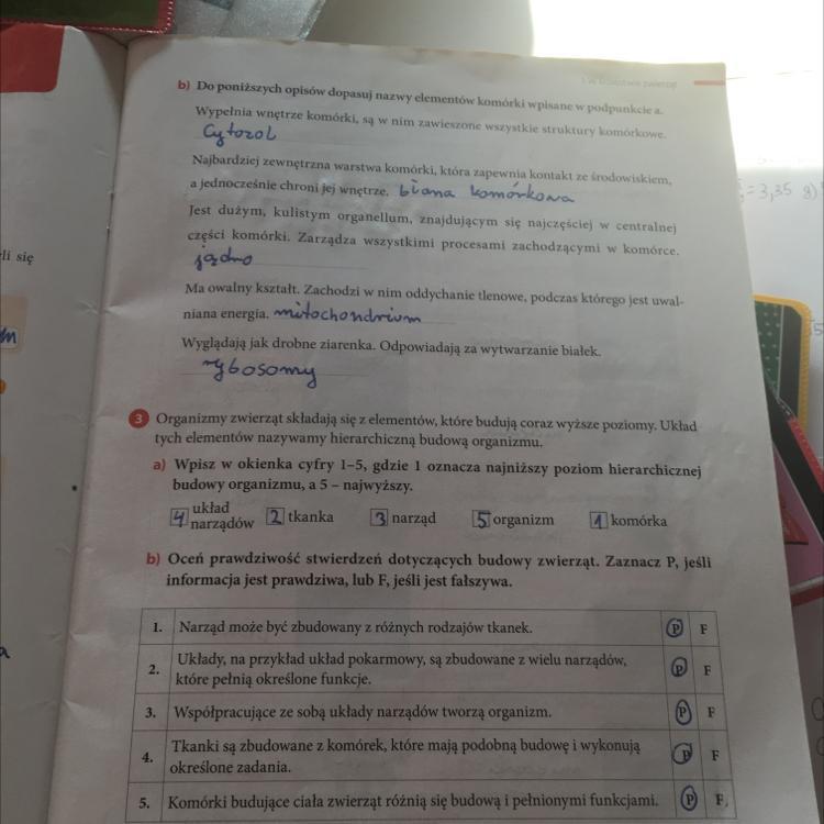proszęproszę jak najszybciej zrobienie całej tej strony klasa 6 strona
