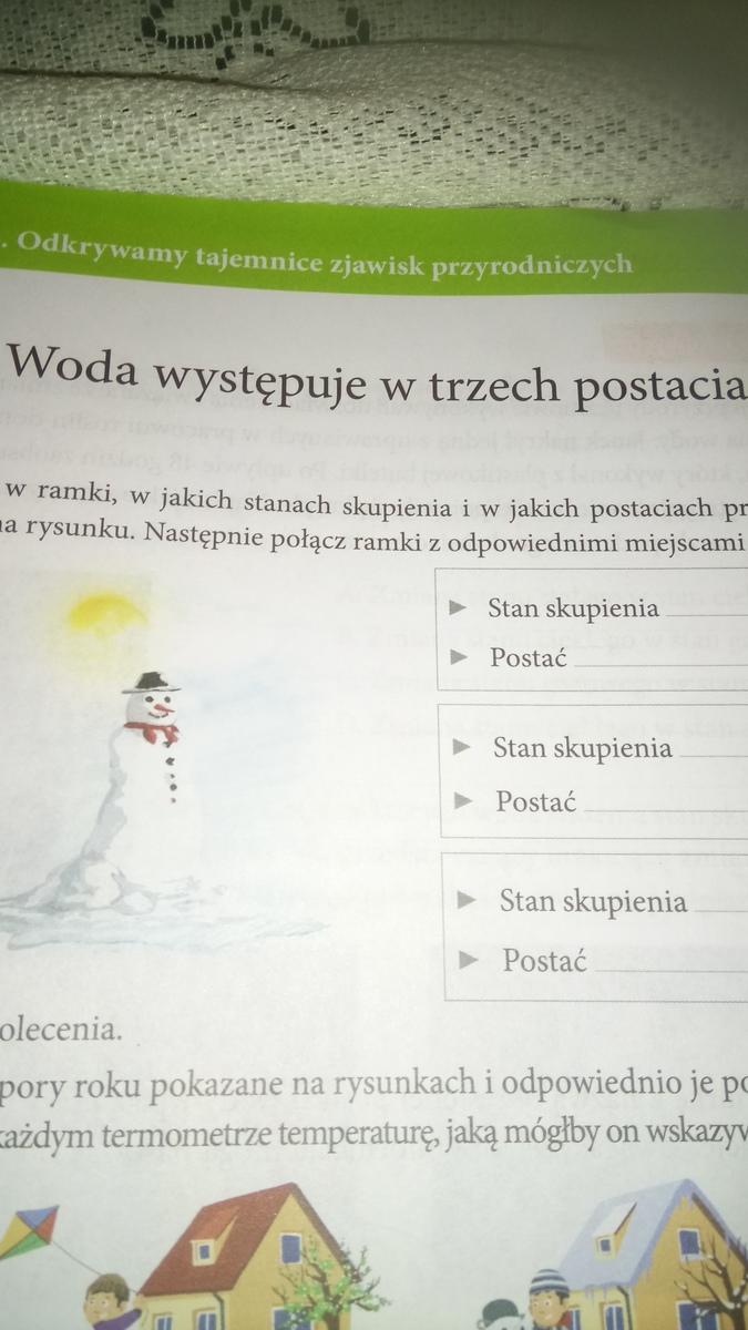 Wpisz w ramkach w jakich Stanach skupienia i w jakich postaciach