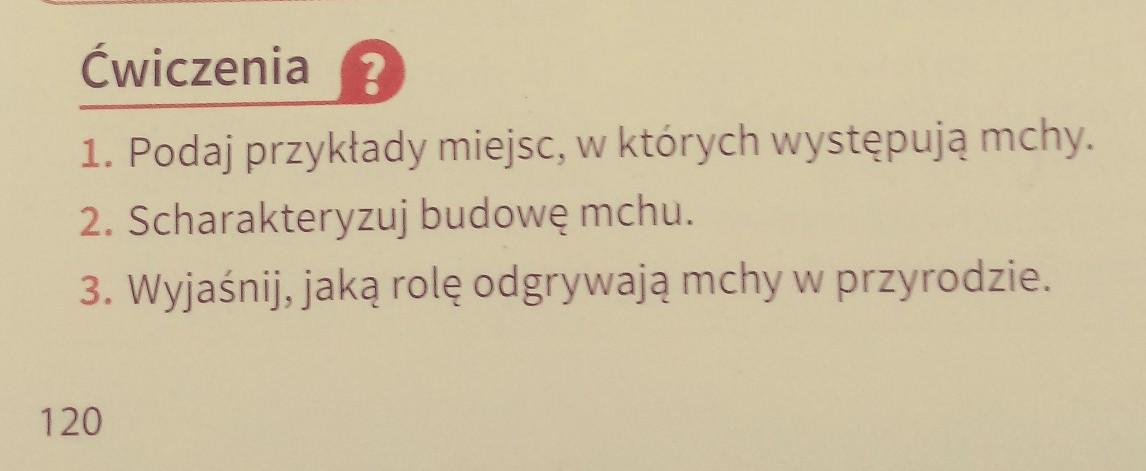 Co To Znaczy że Mchy Są Organizmami Pionierskimi