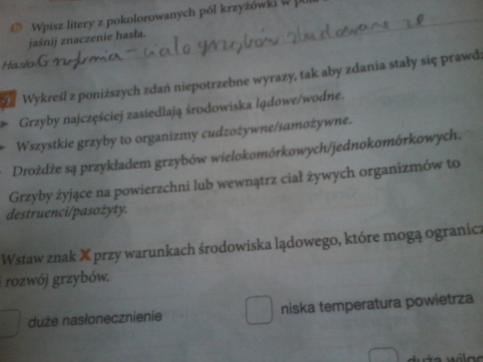 Wykreśl z poniższych zdań niepotrzebne wyrazy, tak aby zdania stały się