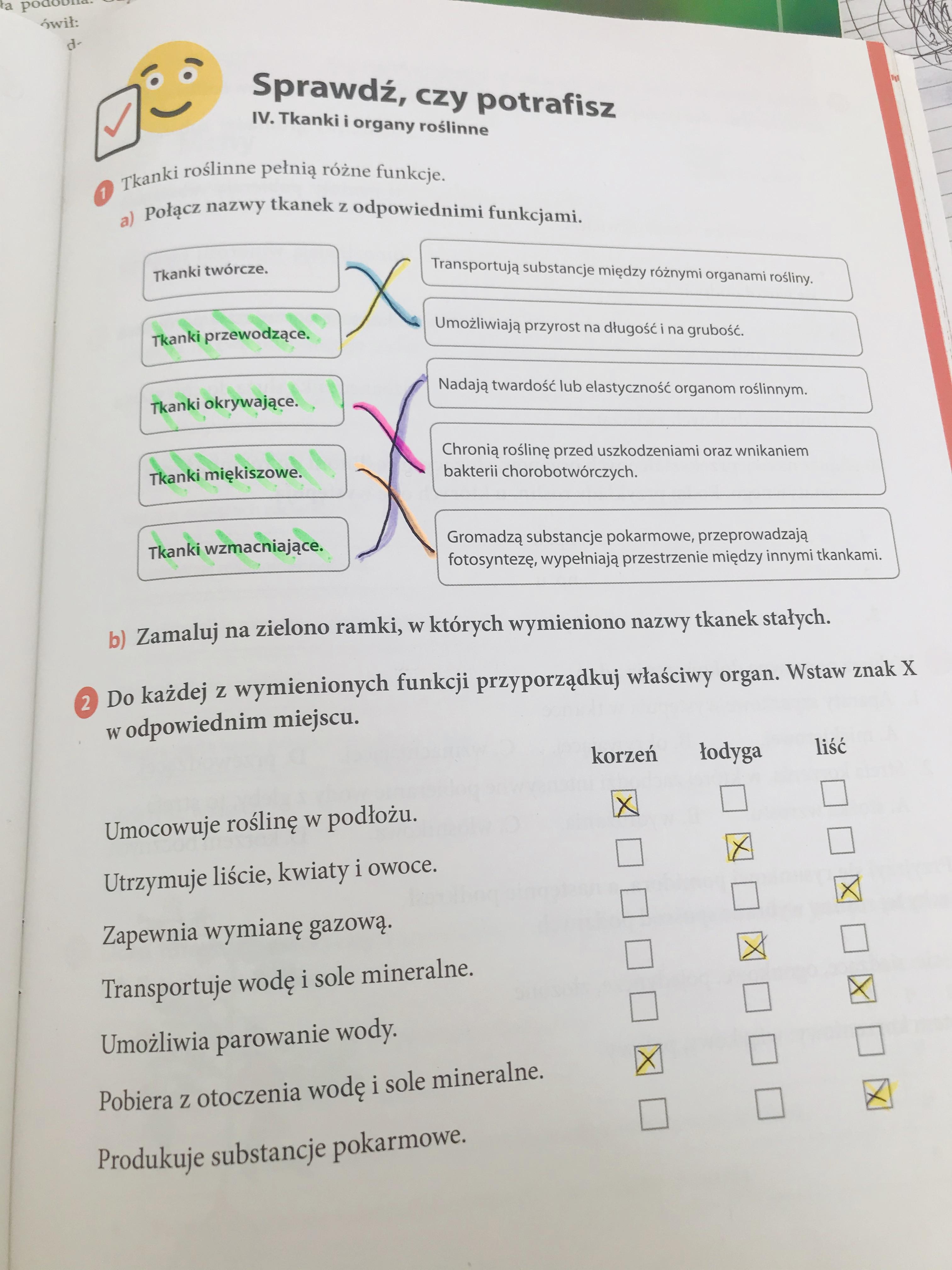 Sprawić czy potrafisz klasa 5 puls życia dział 4 pomocy Zad 1 2 3 4 5