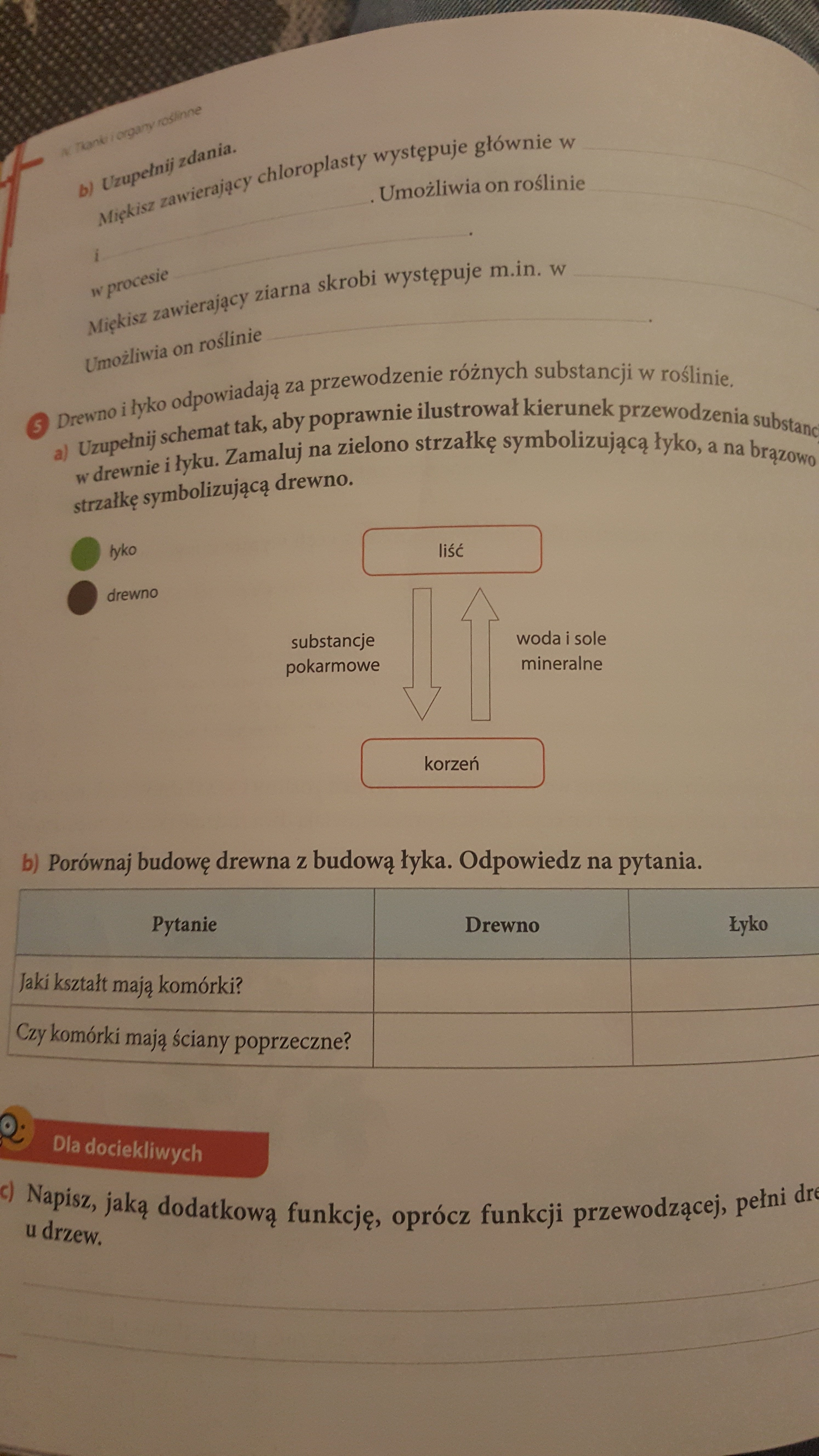Plis b i zad 5 a i b Brainly.pl