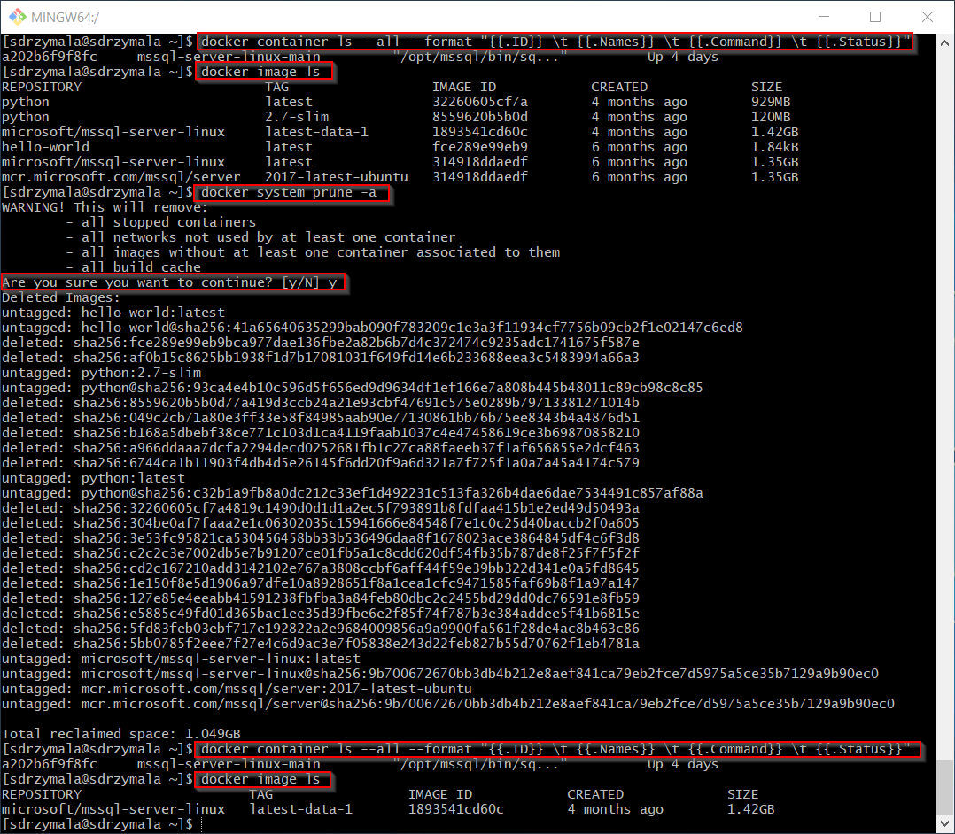 Docker system prune all Seequality