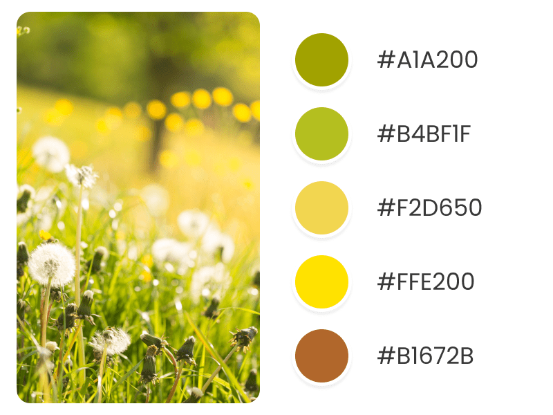 Best Spring Color Palettes Placeit