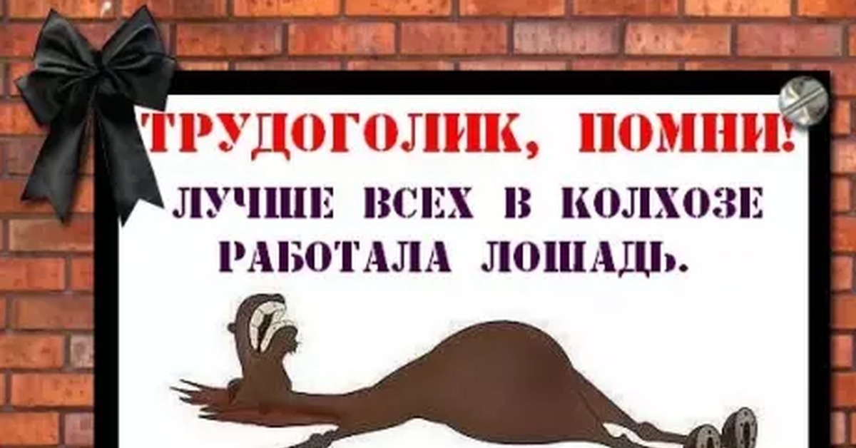 Картинки с надписью От работы дохнут кони (30 картинок) 🔥