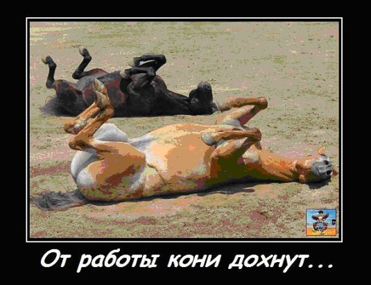 Картинки с надписью От работы дохнут кони (30 картинок) 🔥