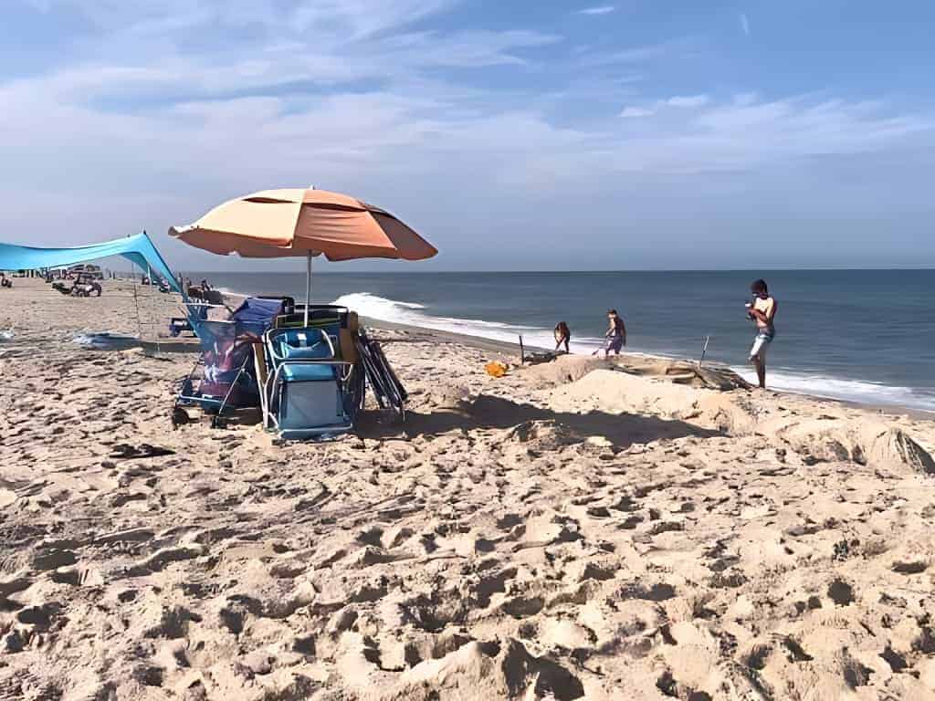 Dewey Beach Dog Rules, Delaware New Laws 2024