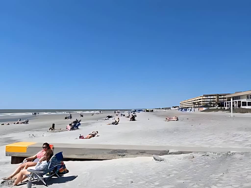 Folly Beach Dog Rules And New Laws, South Carolina 2024