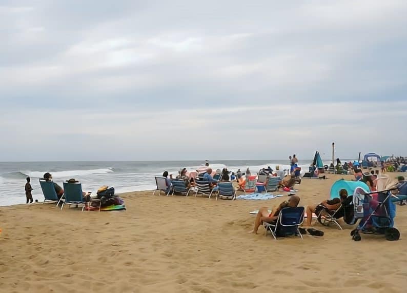 Ocean City Beach Dog Rules, Maryland New Laws 2024