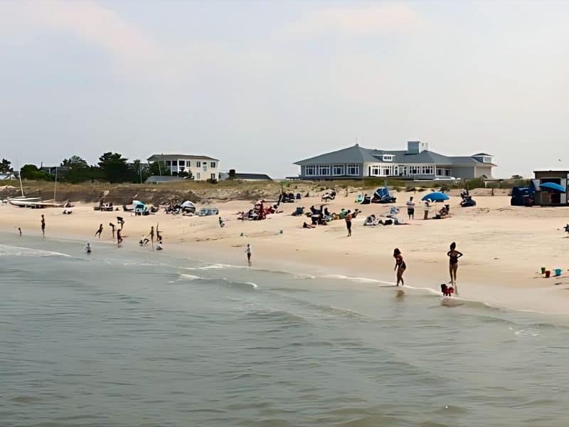 Lewes Beach Dog Rules, Delaware New Laws 2024