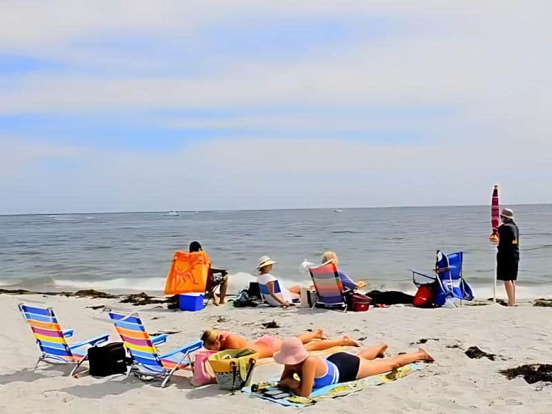 18 Best DogFriendly Beaches In Maine 2024