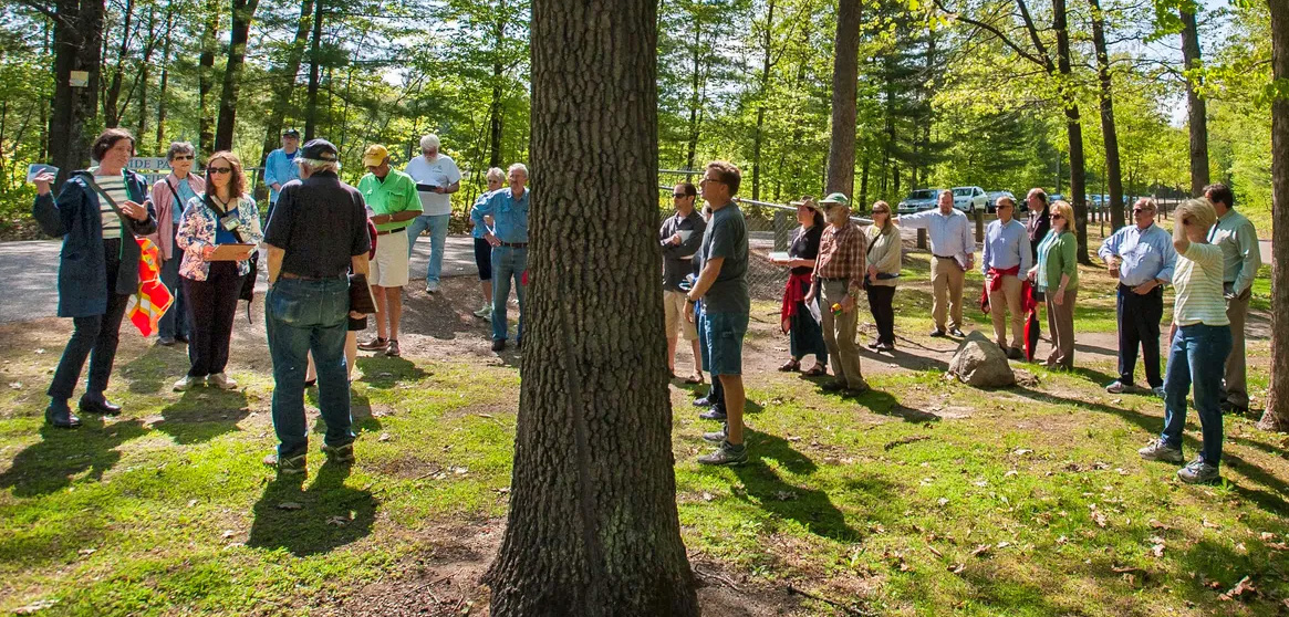 Malletts Bay Village Plan PlaceSense