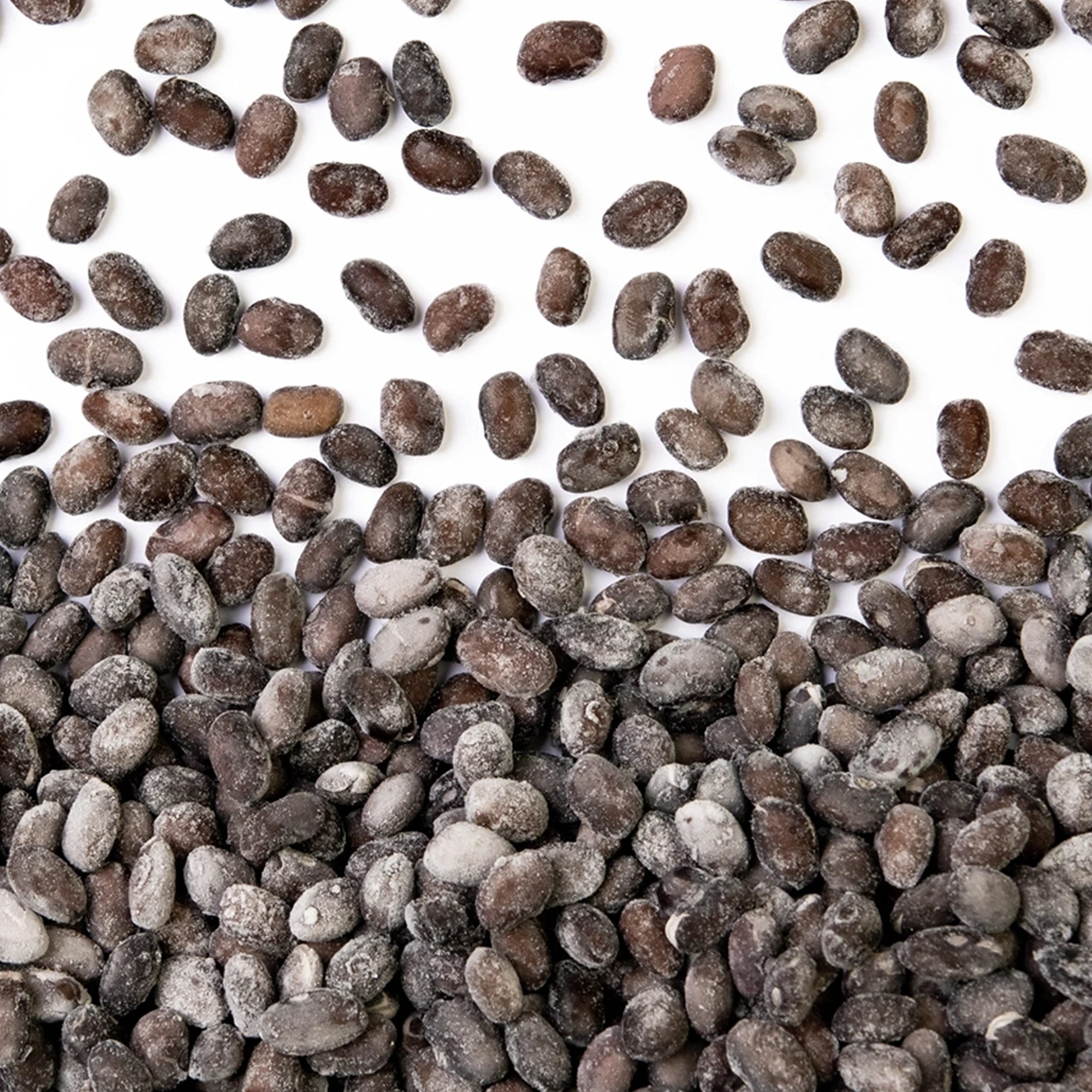 IQF Black Turtle Beans Place UK