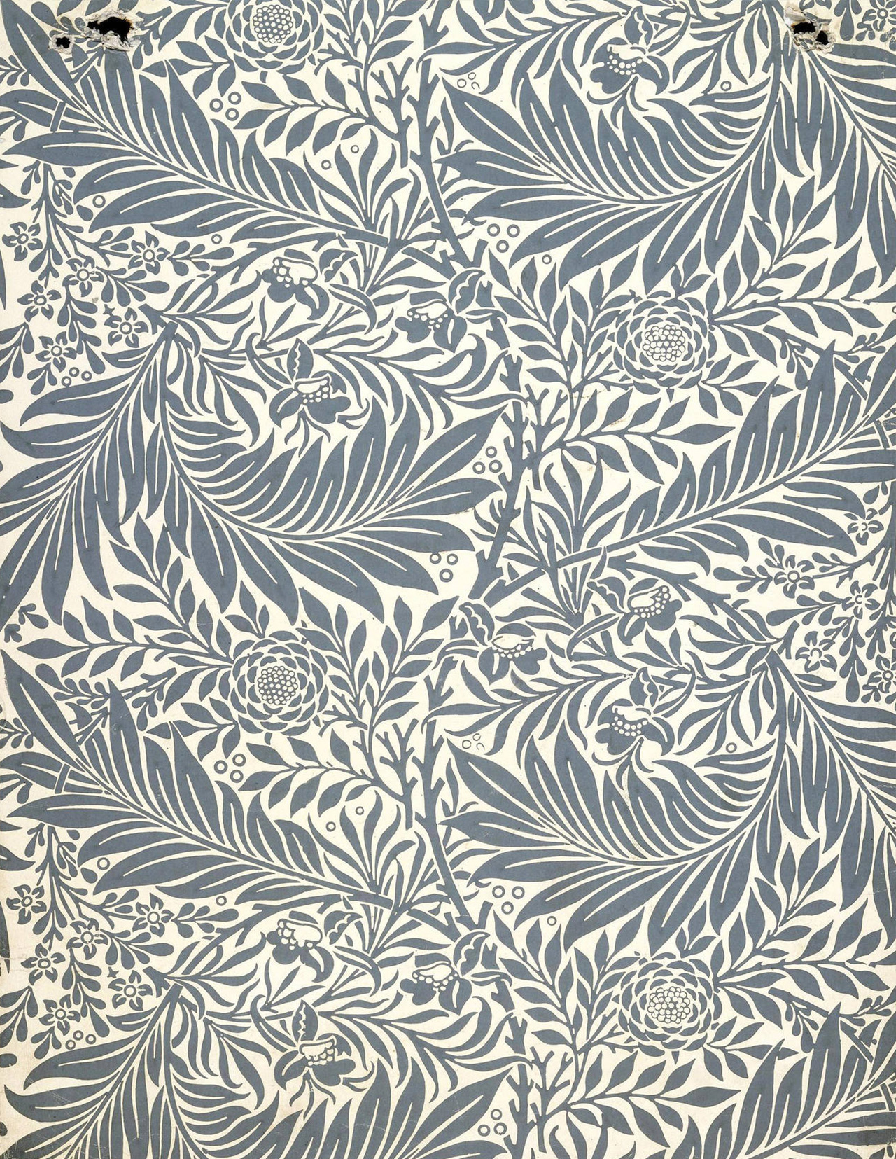 William Morris Plácida