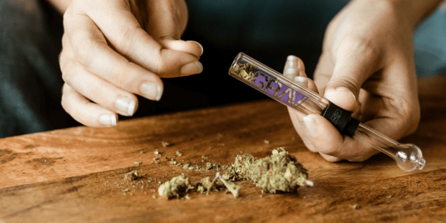 Canada is the first large country to legalize marijuana Plain English