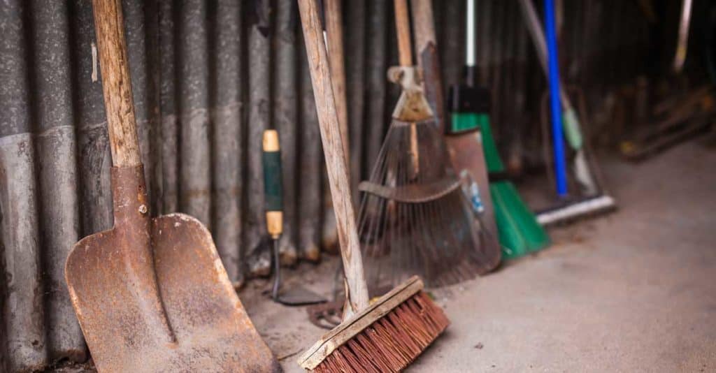 25 Essential Garden Tools List Every Gardener Needs
