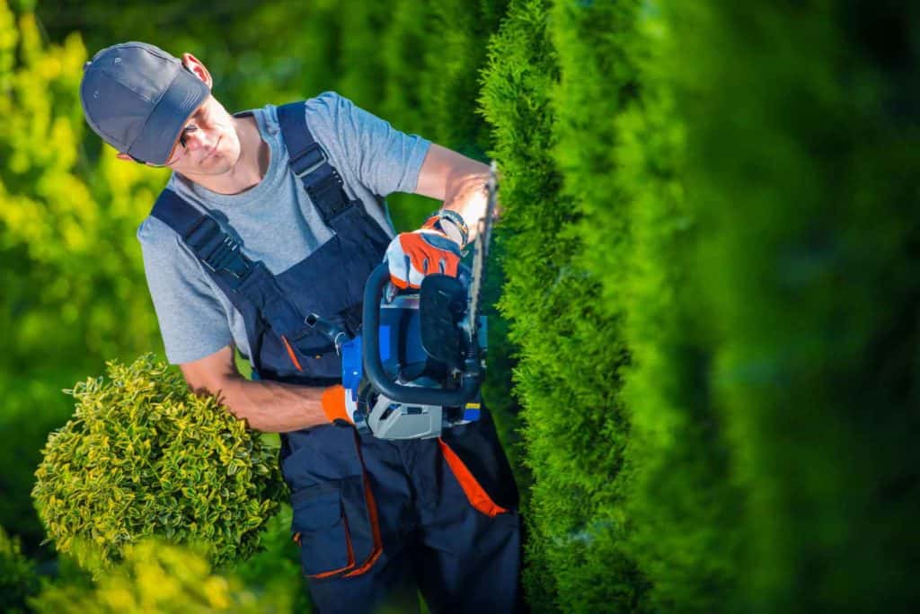 10 Best Cordless Hedge Trimmer 2023 Reviews & Buying Guide