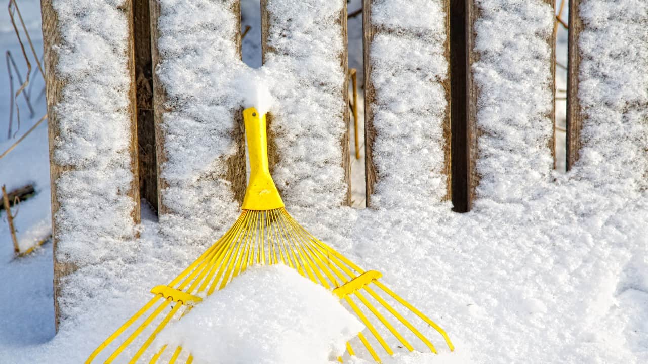 Best Snow Rake [2024 Ultimate Buyer's Guide and Review's]