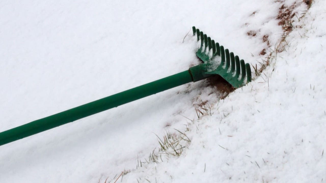 Best Snow Rake [2024 Ultimate Buyer's Guide and Review's]