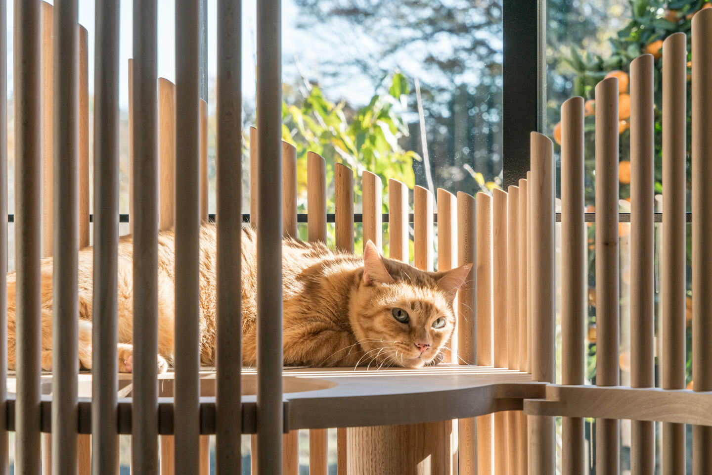The Classiest (and Probaby the Most Expensive) Architectural Cat Tree