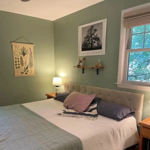 Midtone green Behr paint colors reviews