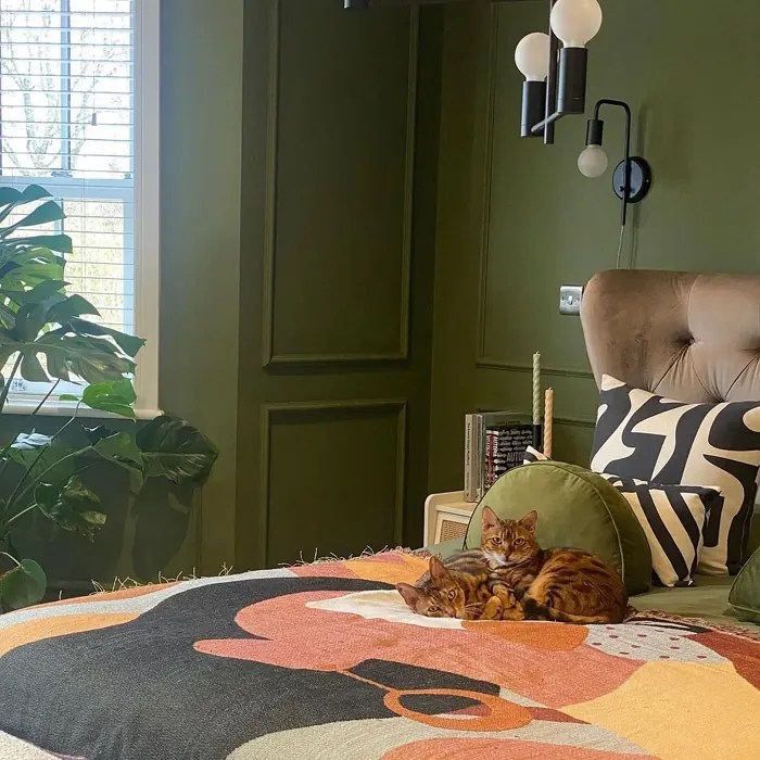 Farrow and Ball Bancha 298 paint color