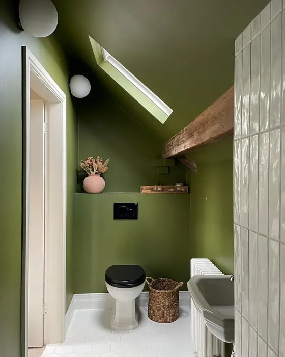 Farrow and Ball Bancha 298 paint color