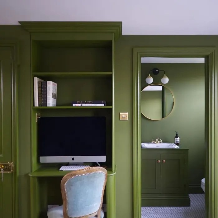 Farrow and Ball Bancha 298 paint color