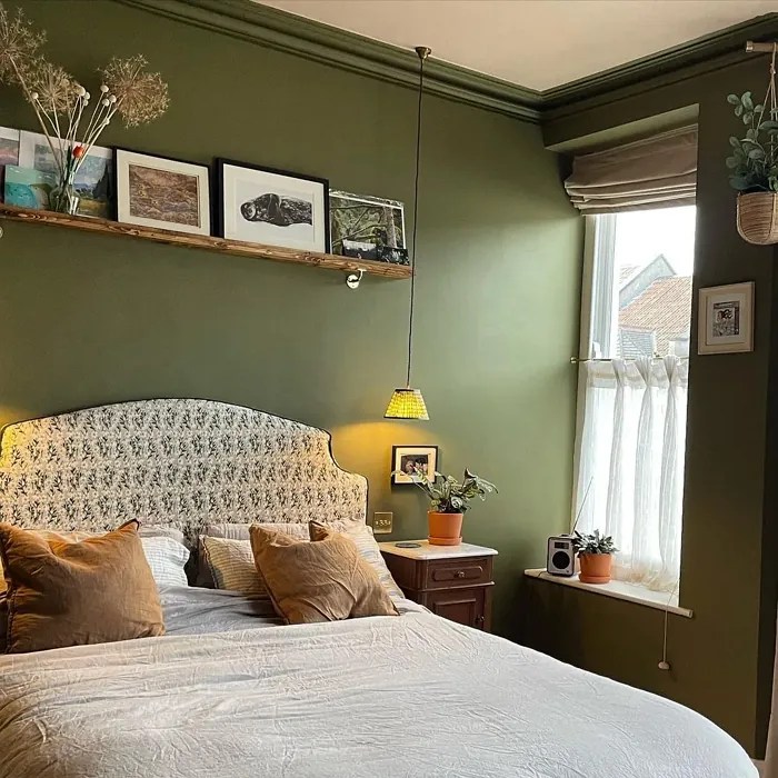 Farrow and Ball Bancha 298 paint color