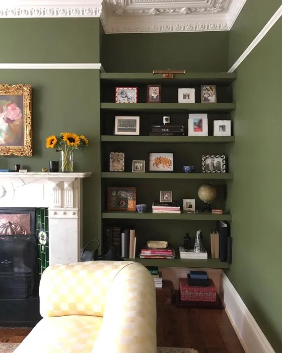 Farrow and Ball Bancha 298 paint color