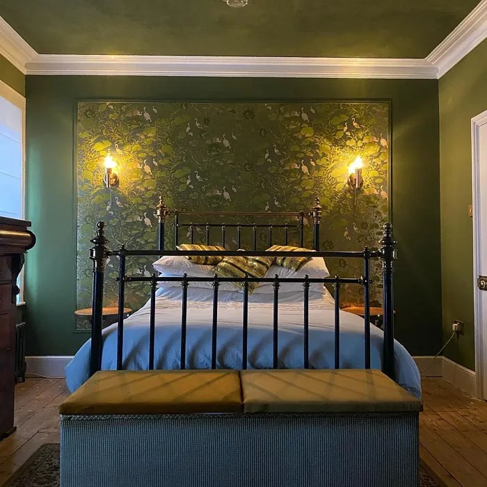 Farrow and Ball Bancha 298 paint color