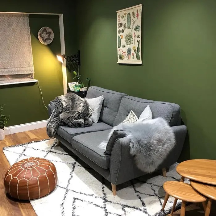 Farrow and Ball Bancha 298 paint color